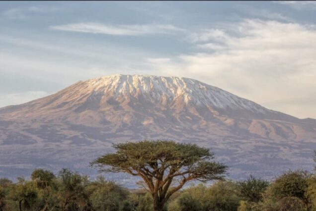 Mount Kilimanjaro Trek – 9 Days, 8 Nights