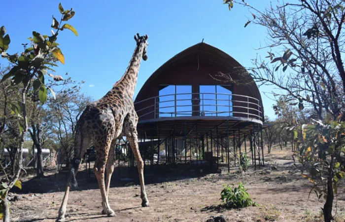 Ngorongoro Lodge Tanzania