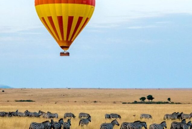 Safari en avión de 3 días por Amboseli