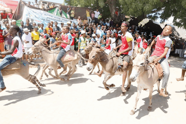 Visita cultural de Lamu - Paseo en burro