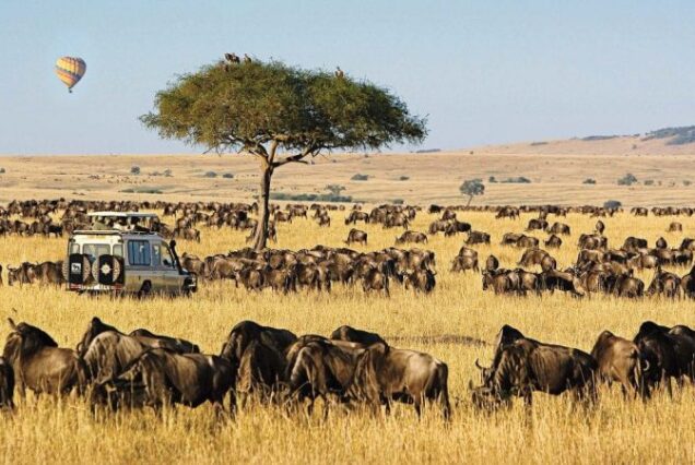 Experiencia accesible en el bosque y la playa de Kenia