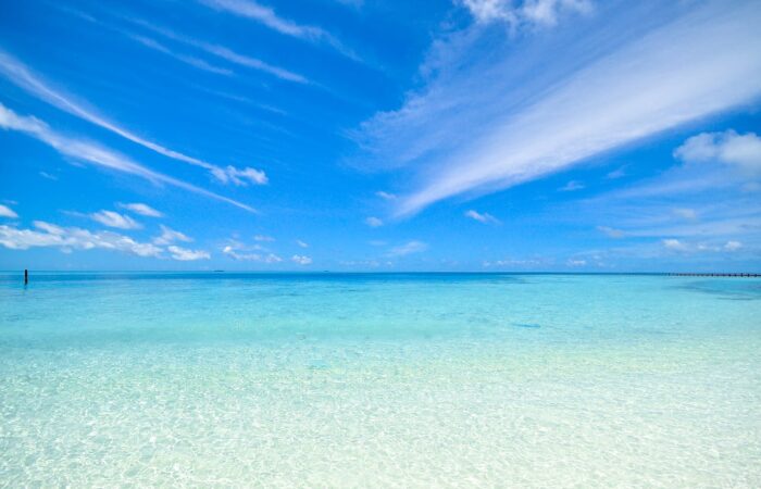 pexels-asadphoto-457881