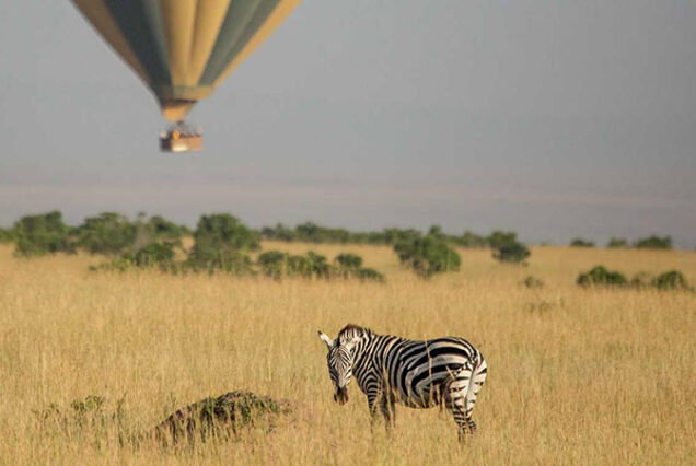 Safari en avión de 3 días a Samburu